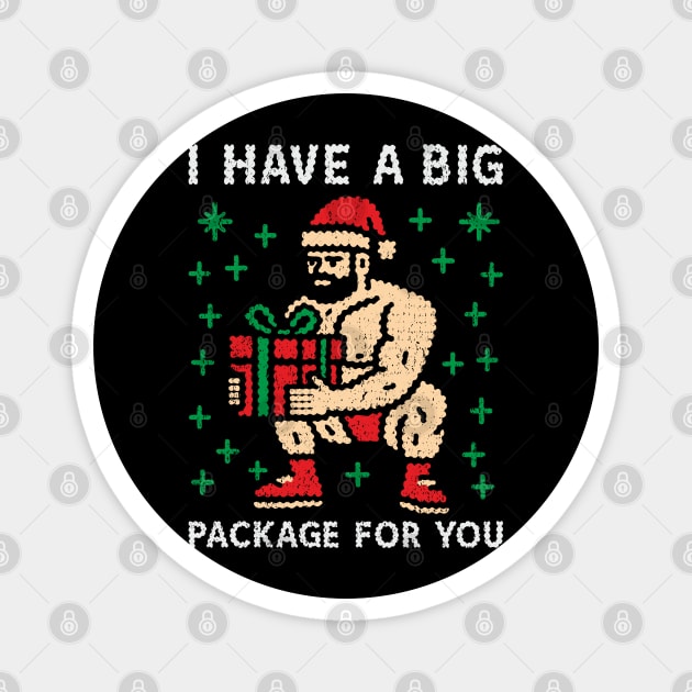 I Have a Big Package Naughty Gay Santa Magnet by Anticorporati